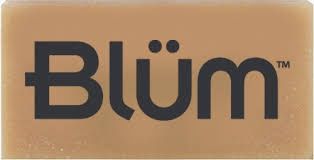 Blum Gum Eraser (Large)