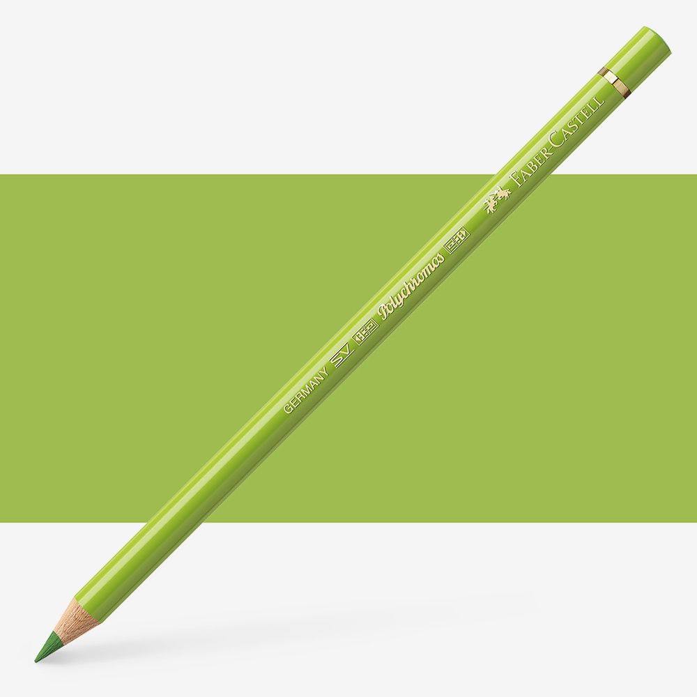 Faber-Castell Polychromos Pencil May Green 170