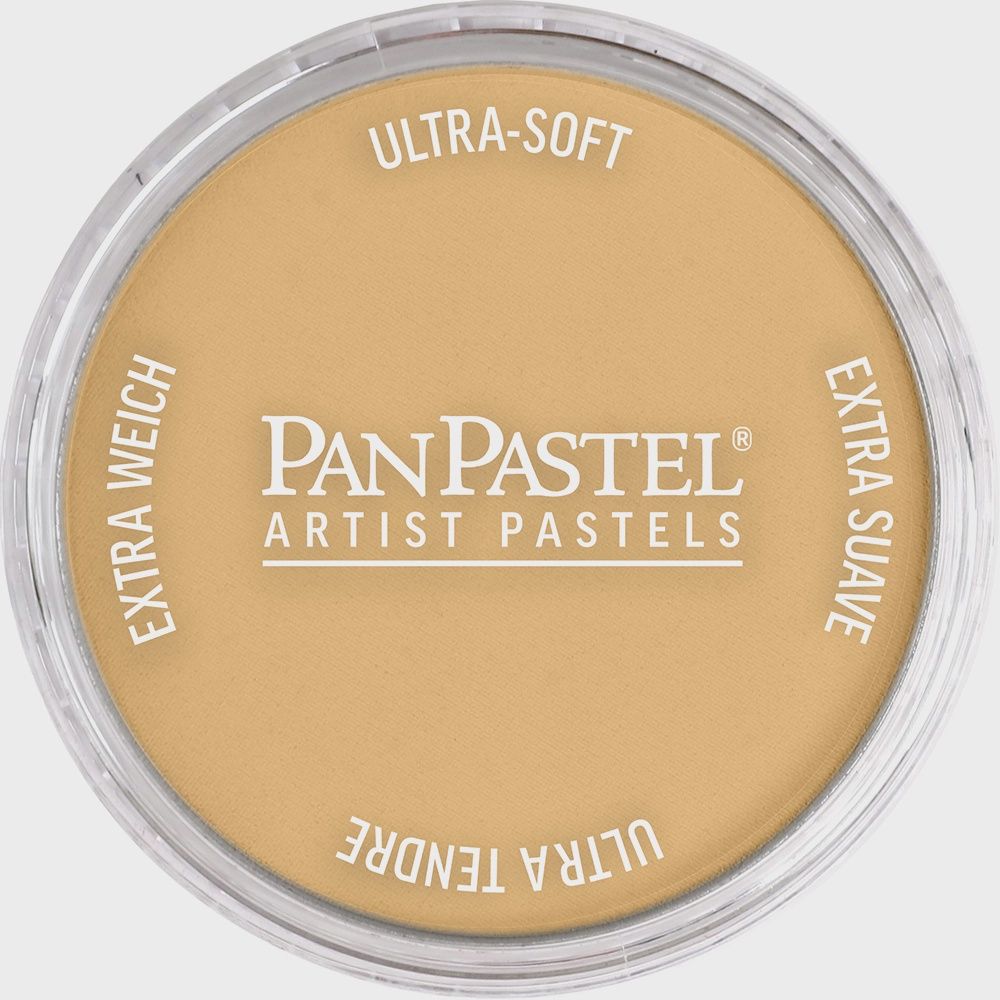 PanPastel Metallic Rich Gold 9ml