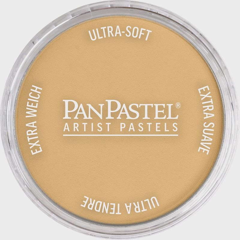 PanPastel Metallic Rich Gold 9ml