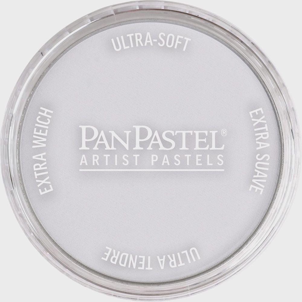 PanPastel Paynes Grey Tint 8 9ml
