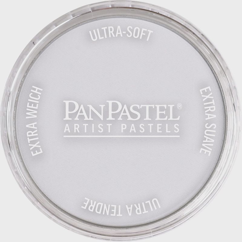 PanPastel Paynes Grey Tint 8 9ml