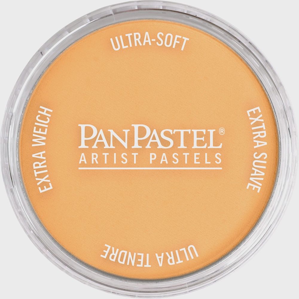 PanPastel Pearlescent Orange 9ml