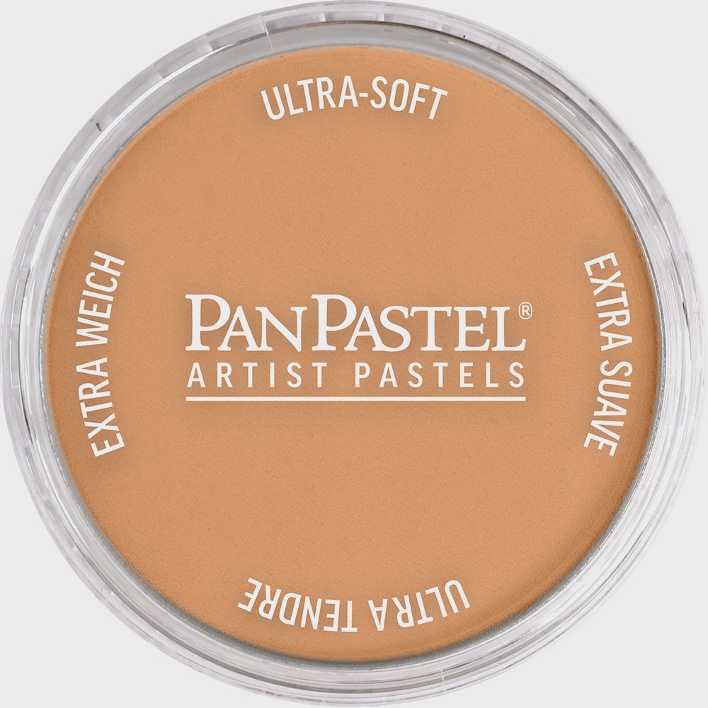 PanPastel Metallic Bronze 9ml