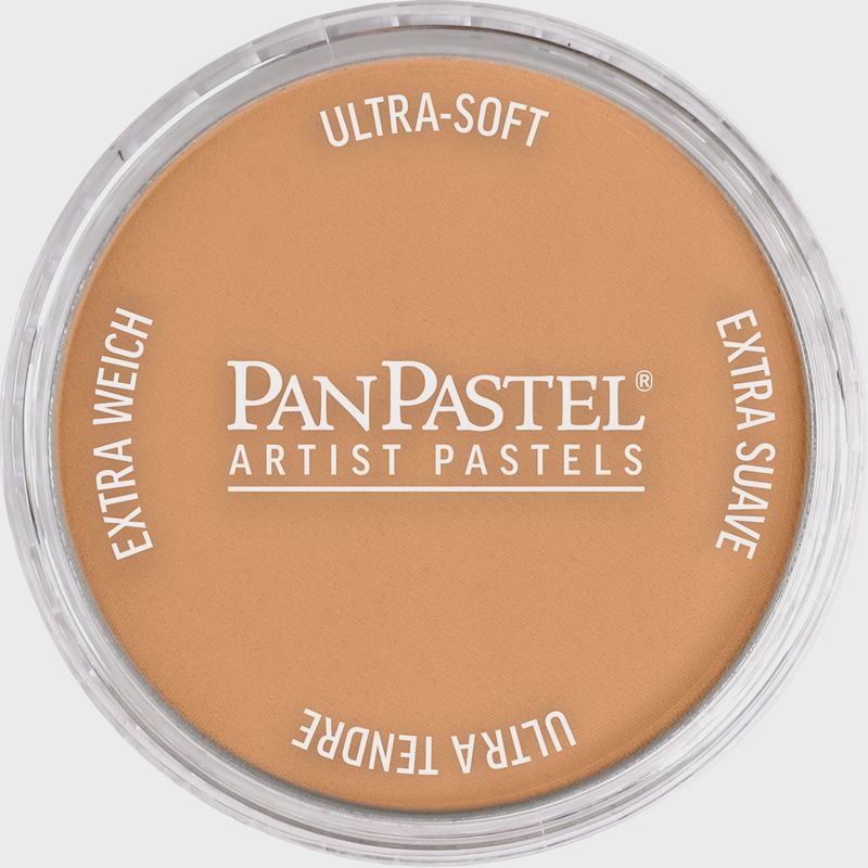 PanPastel Metallic Bronze 9ml