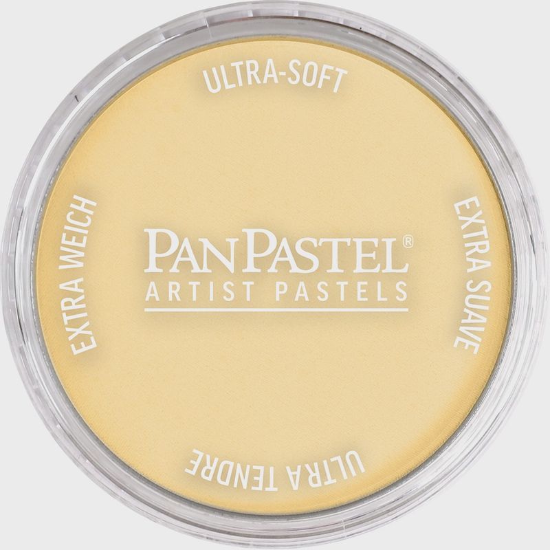 PanPastel Metallic Light Gold 9ml