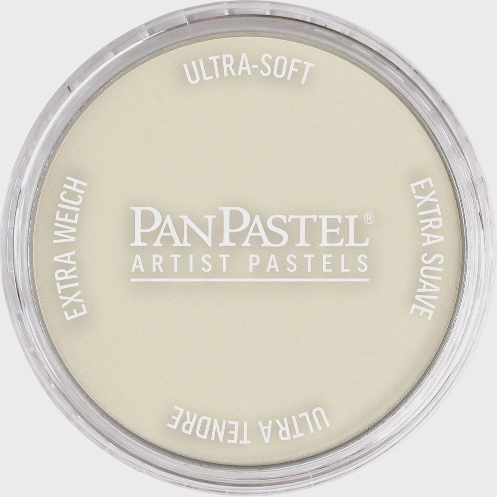 PanPastel Raw Umber Tint 9ml