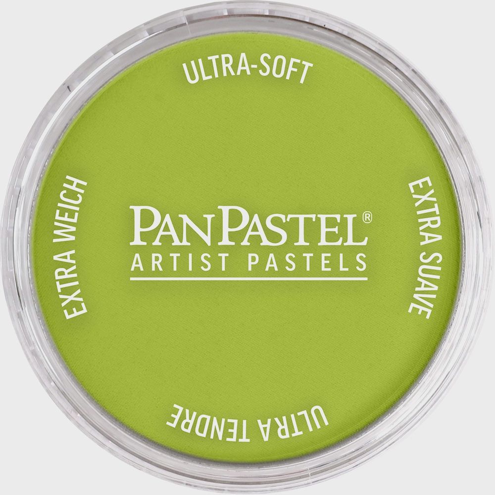 PanPastel Bright Yellow Green 9ml