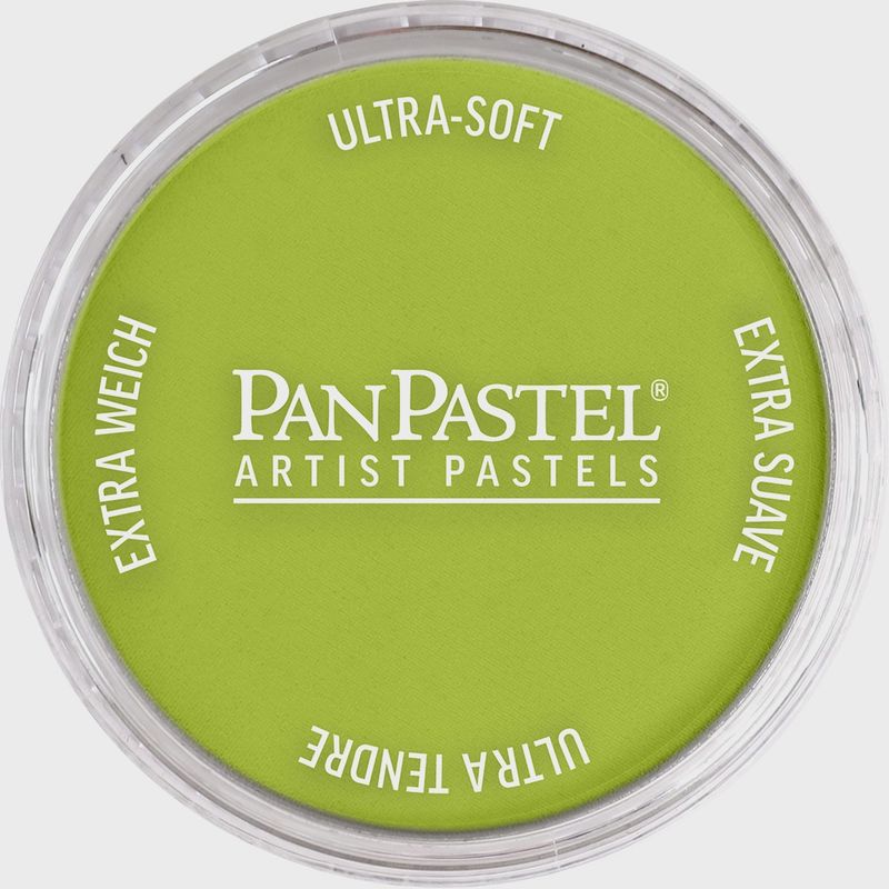 PanPastel Bright Yellow Green 9ml