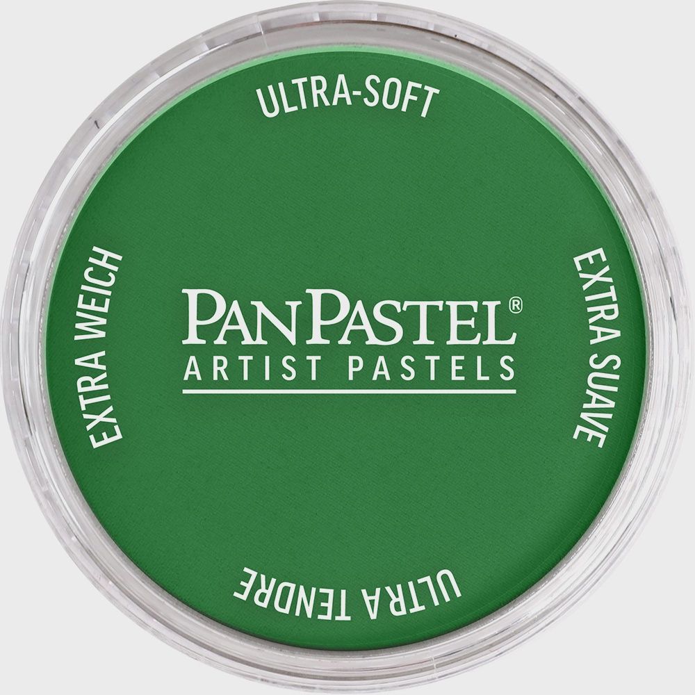 PanPastel Permanent Green Shade 9ml