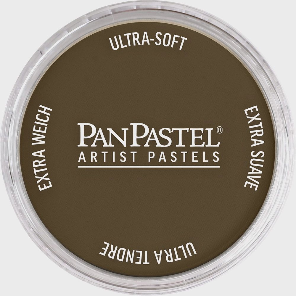 PanPastel Raw Umber 9ml