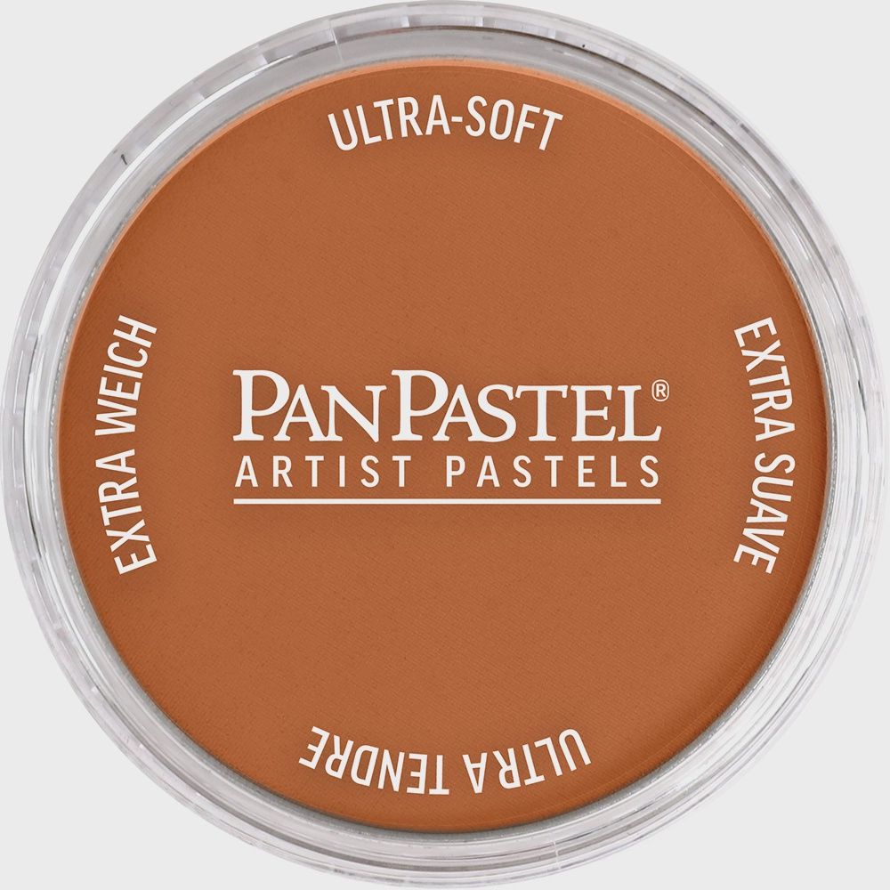 PanPastel Burnt Sienna 9ml