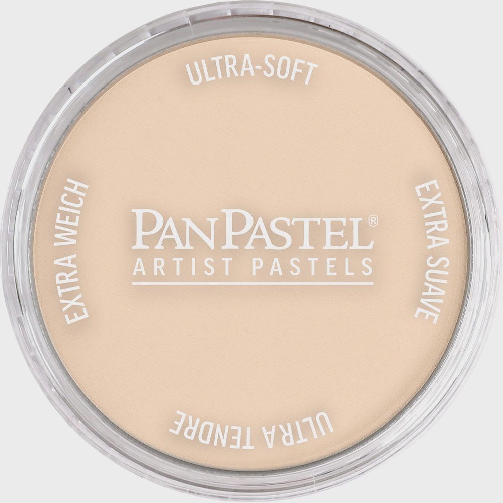 PanPastel Burnt Sienna Tint 9ml