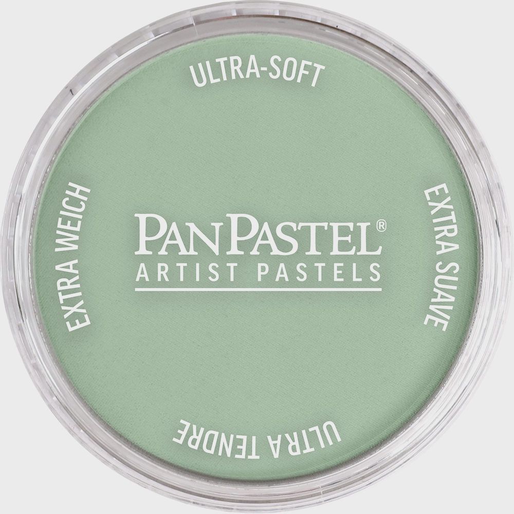 PanPastel Chrome Green Tint 9ml