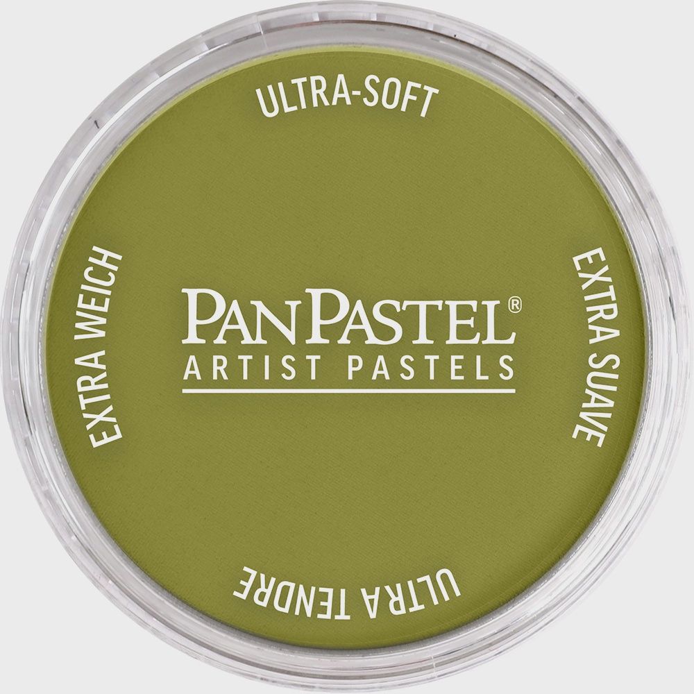 PanPastel Bright Yellow Green Shade 9ml