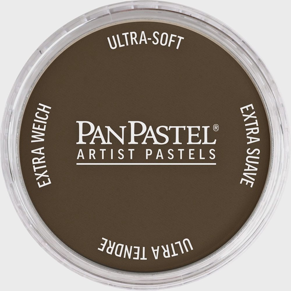PanPastel Raw Umber Shade 9ml