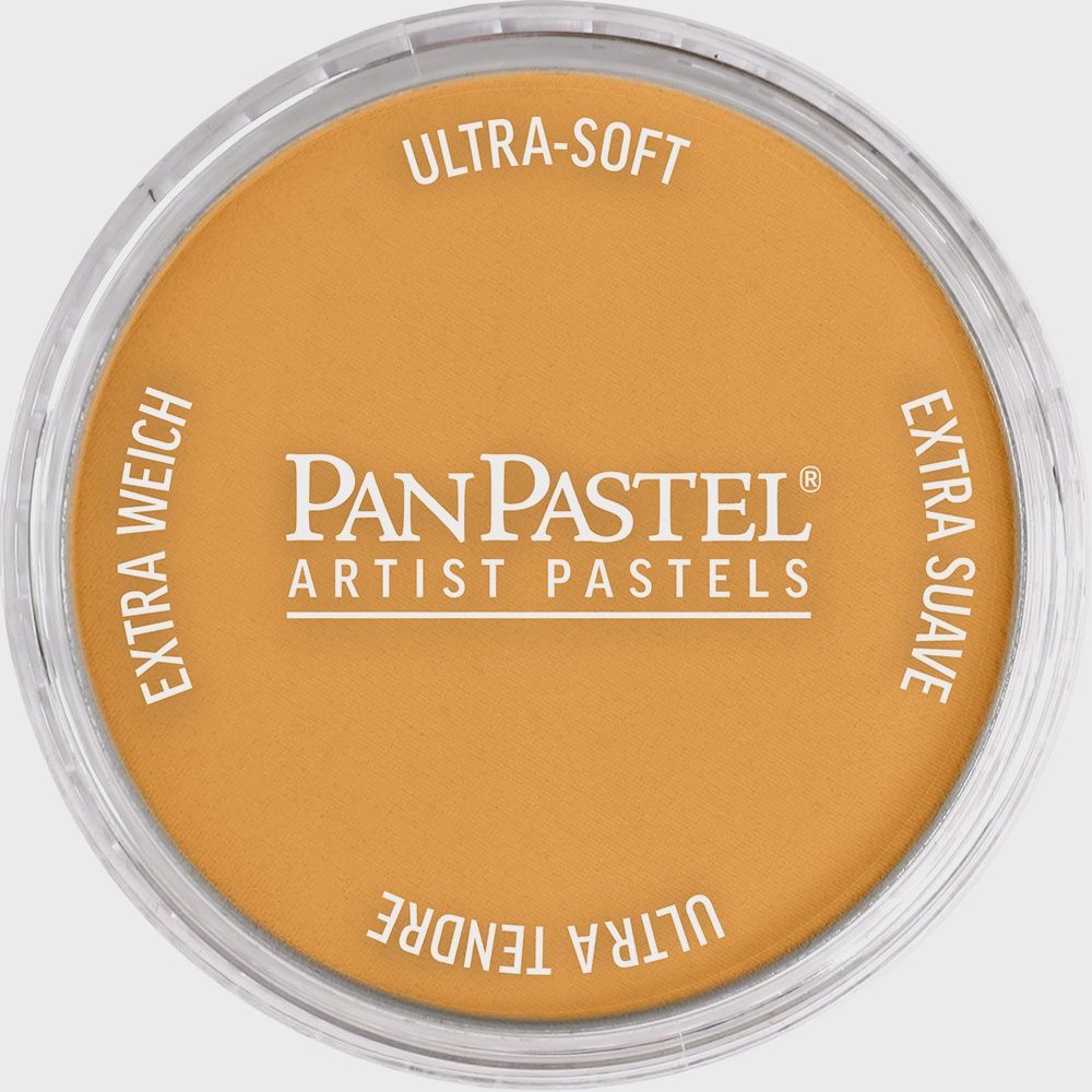 PanPastel Yellow Oxide 9ml
