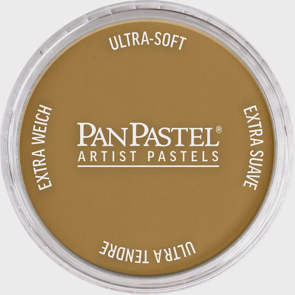 PanPastel Yellow Oxide Shade 9ml