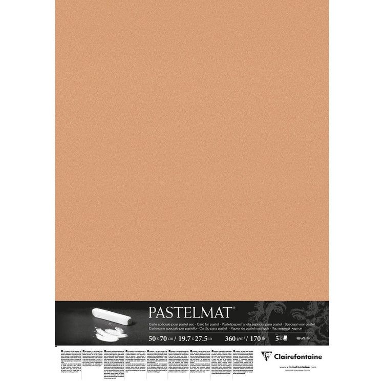 Pastelmat 170lb Sienna Sheet 20x28