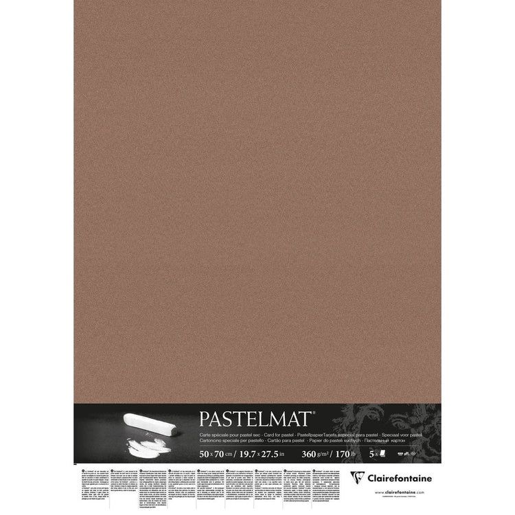 Pastelmat 170lb Brown Sheet 20x28