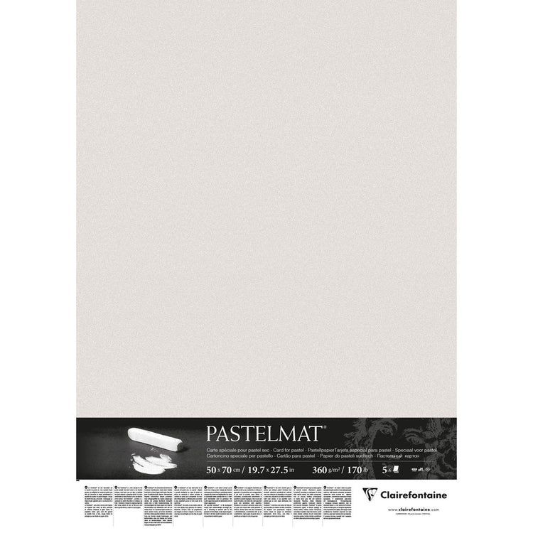 Pastelmat 170lb Light Grey 20x28