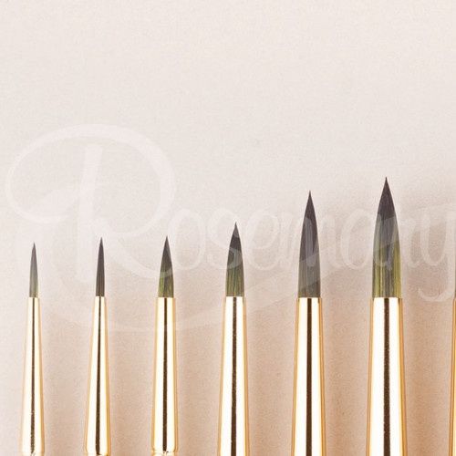 Rosemary Evergreen Round 4LH