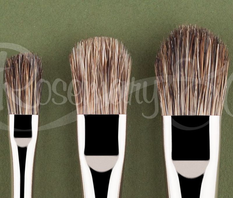 Rosemary Tree&amp;Texture Brush 1/2