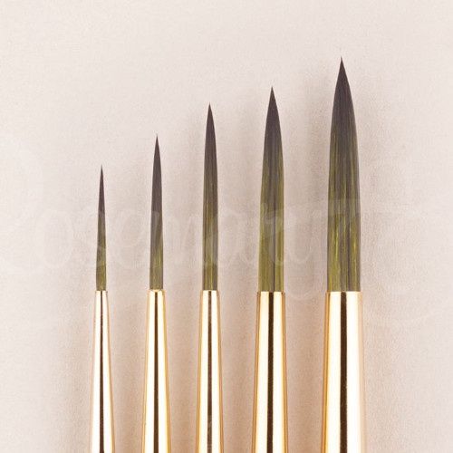 Rosemary Evergreen Rigger 4LH