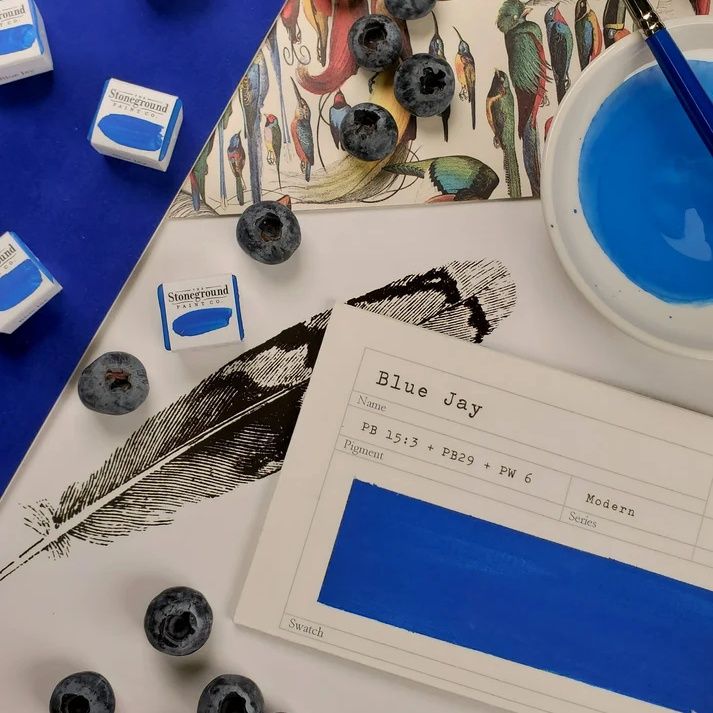 Stoneground Blue Jay Gouache S3