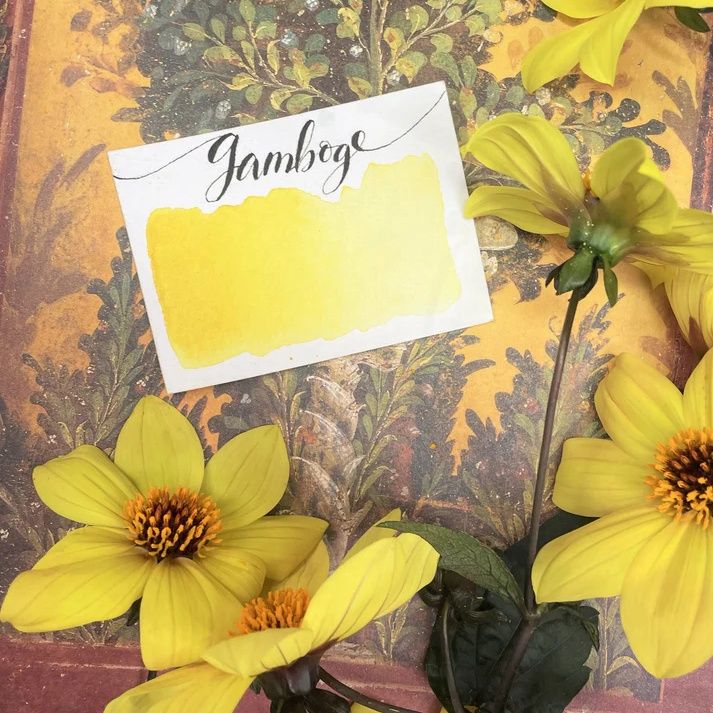 Stoneground Gamboge 1/2 pan