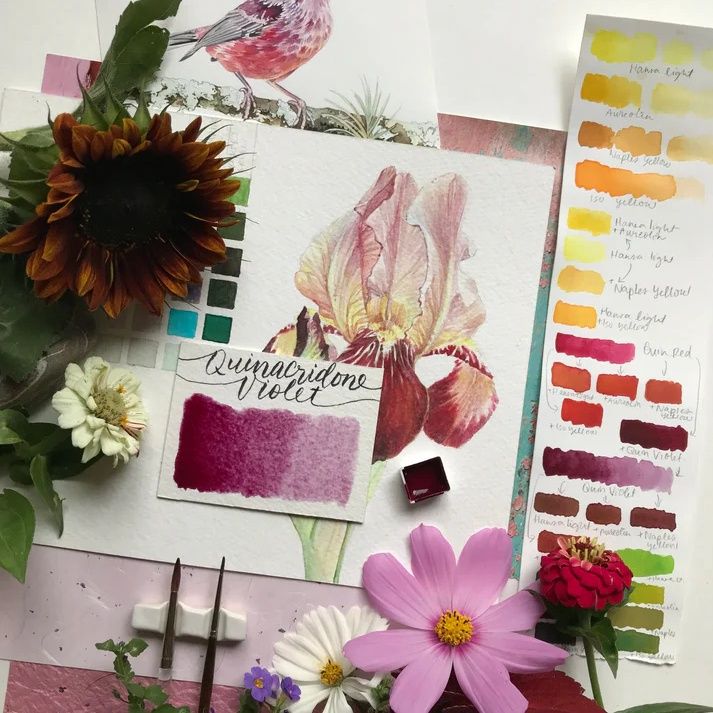 Stoneground Quin Violet 1/2 pan