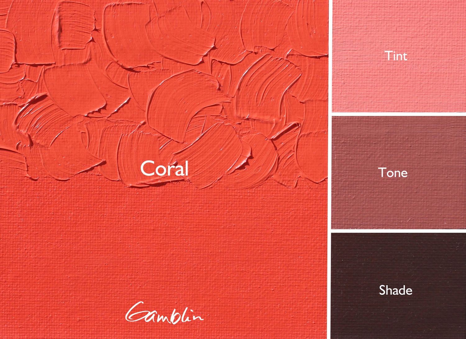 GamblinOil 37ml S2 Coral