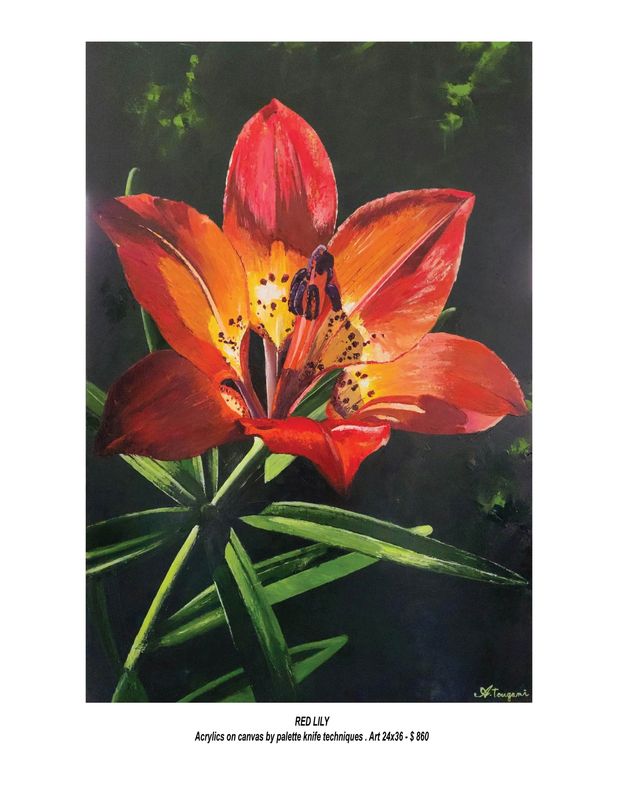 Red Lily by Ahmad Touqani