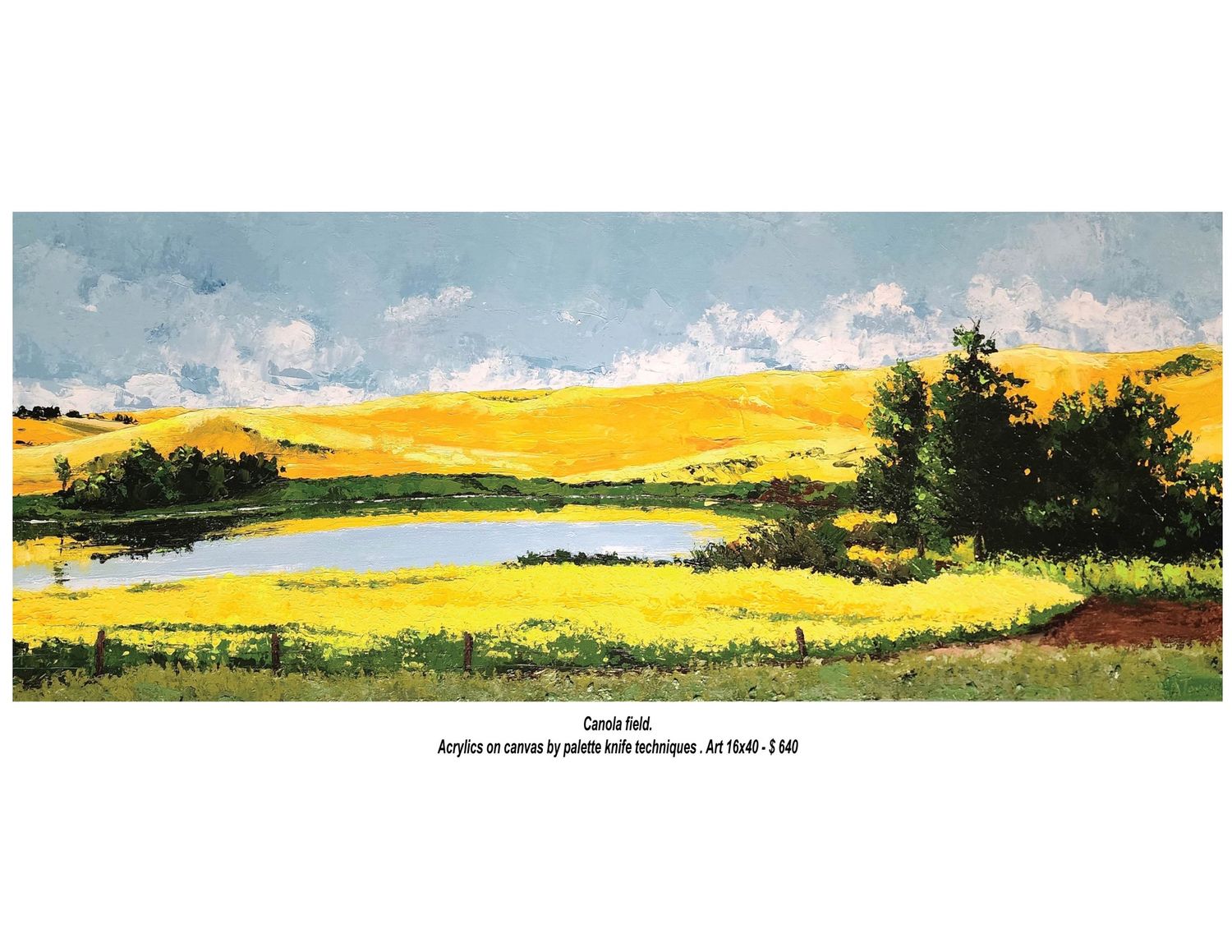 Canola Field by Ahmad Touqani