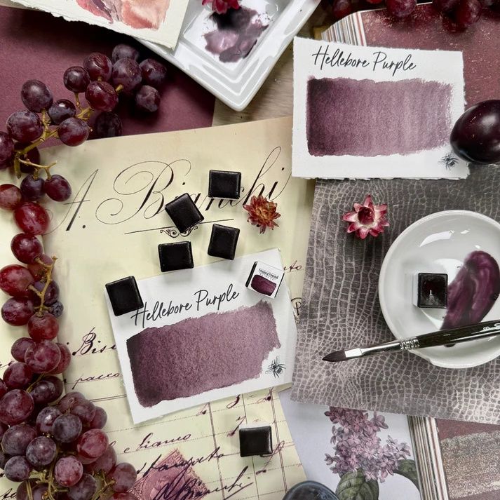 Stoneground Hellebore Purple