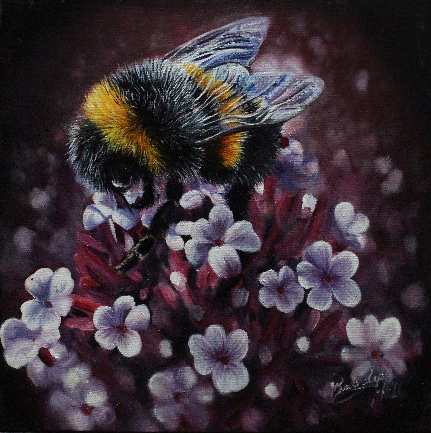 Buzzing Beauty by Brooklyn Hill