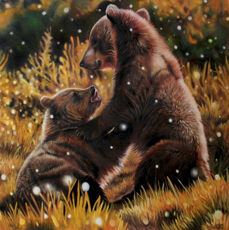 Brothers in the Wild by Brooklyn Hill