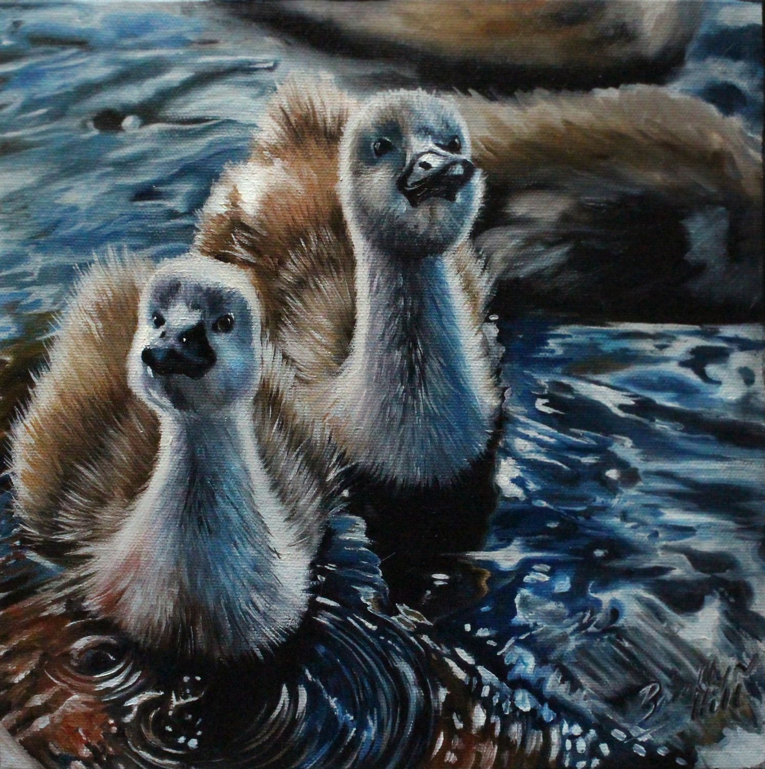 Ugly Duckling by Brooklyn Hill