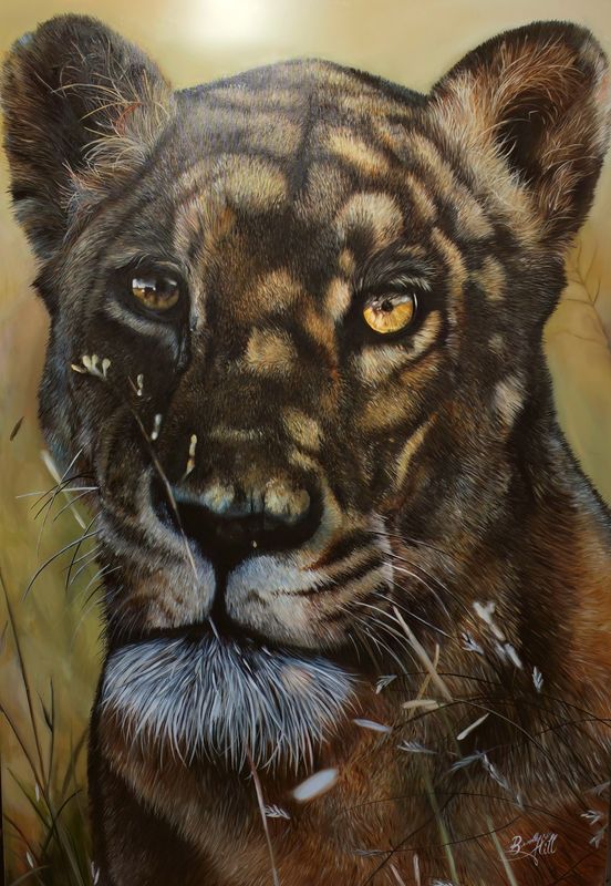 Golden Hour By Brooklyn Hill