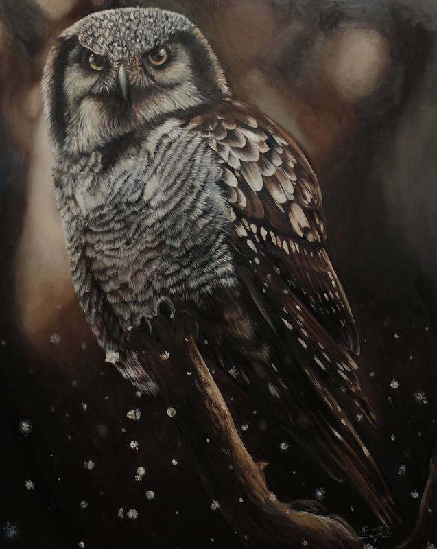 Until Dusk by Brooklyn Hill