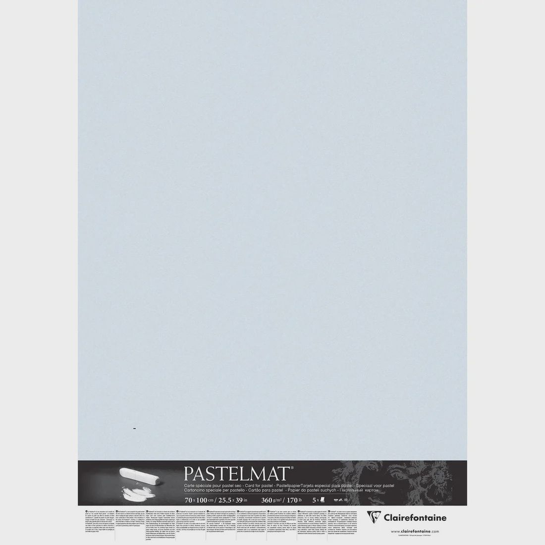 Pastelmat 170lb Light Blue Sheet 20x28