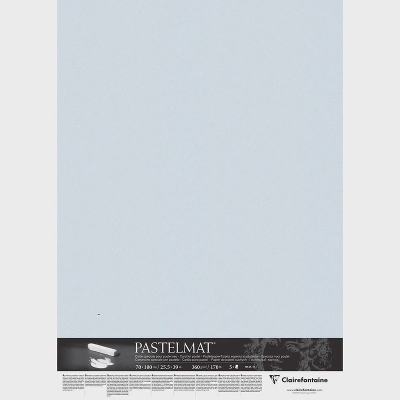 Pastelmat 170lb Light Blue Sheet 20x28