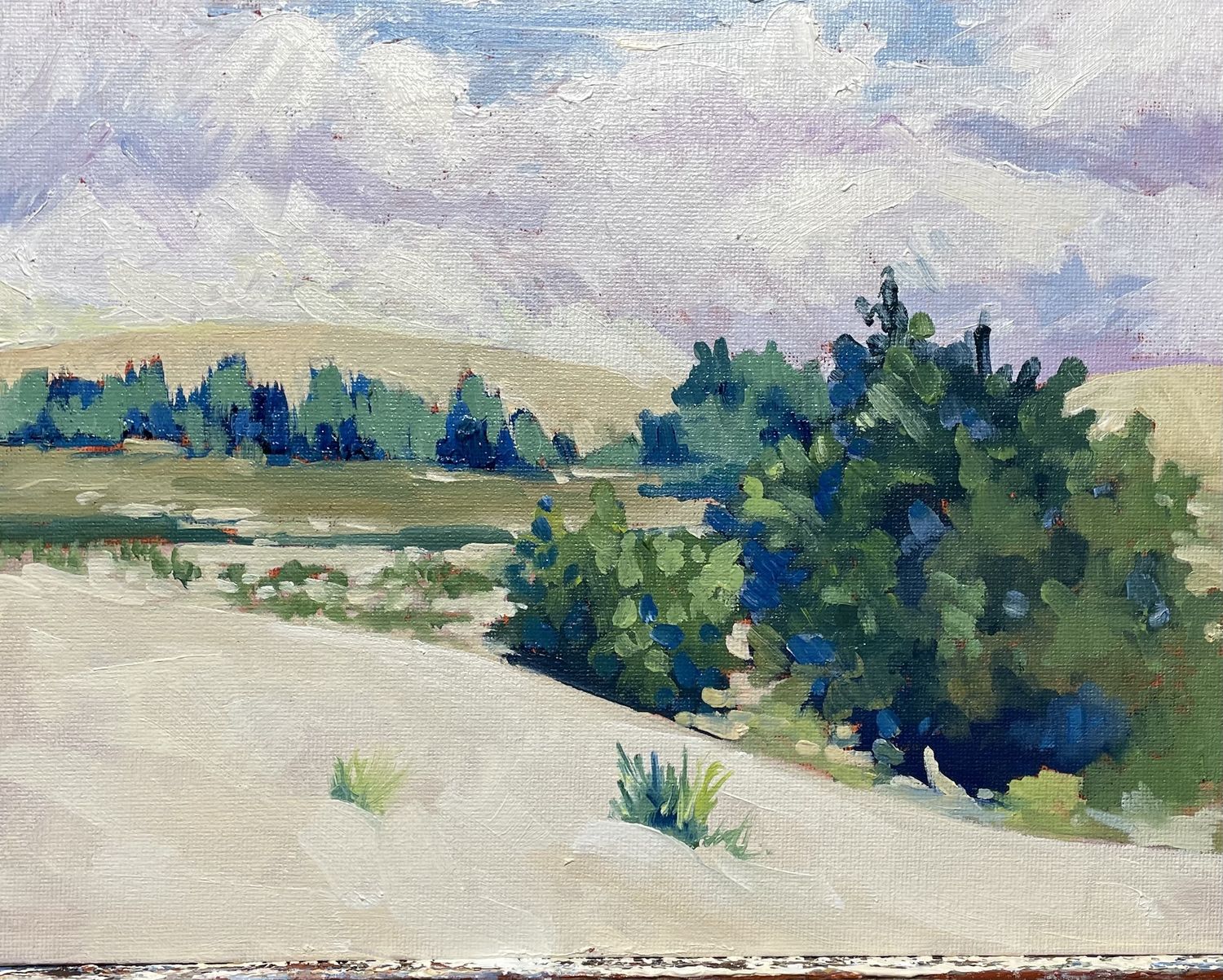 Sandhills by Rolf Krohn