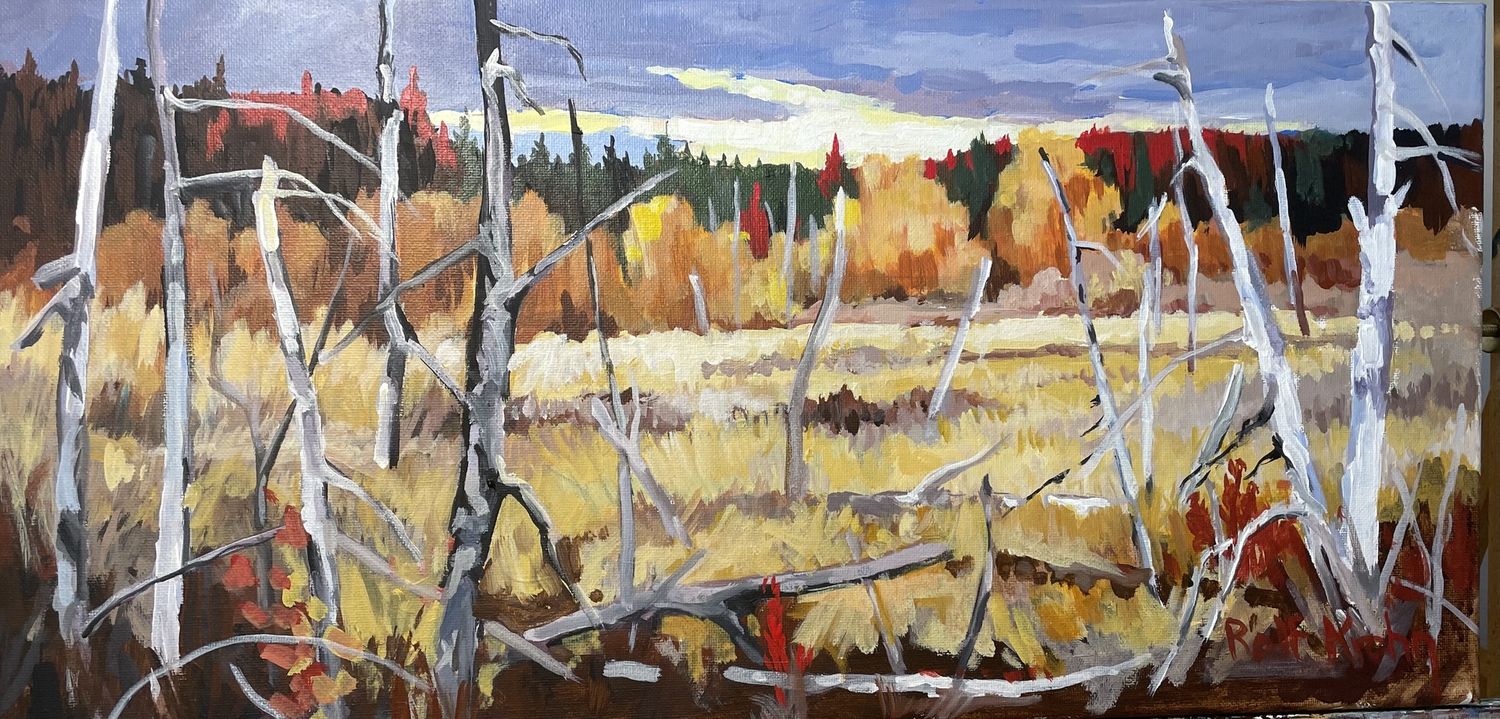 Fall Marsh by Rolf Krohn
