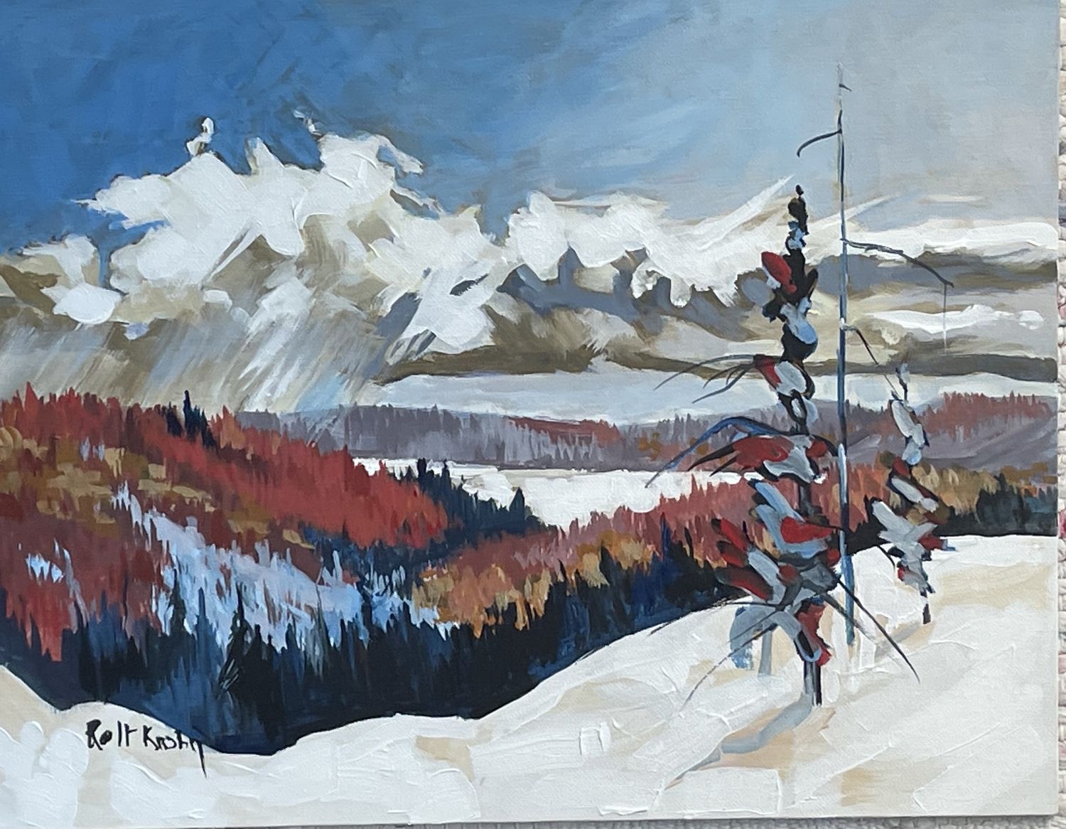 Snow Squall by Rolf Krohn