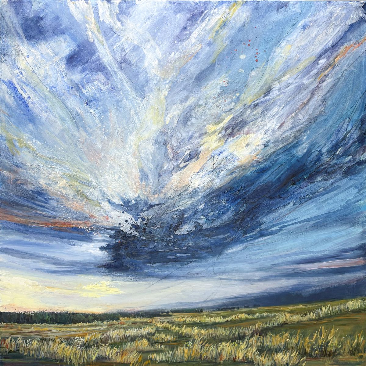 Outrageous Prairie Sky by Diane Larouche Ellard