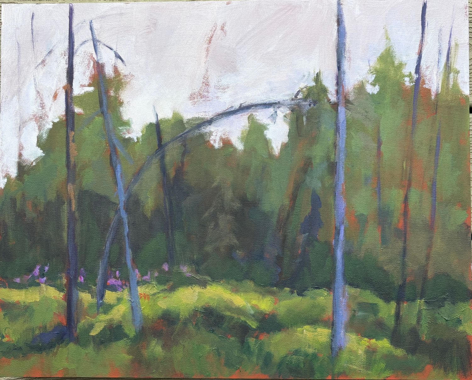 Anglin Lake, Forest View by Randi Lalonde