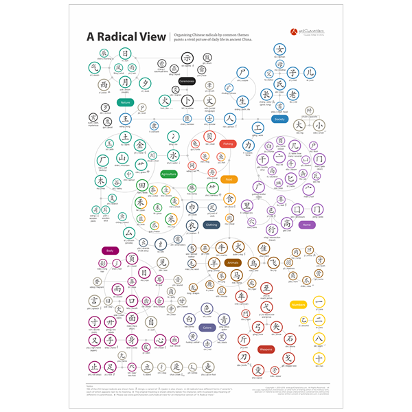 &quot;A Radical View&quot; Poster