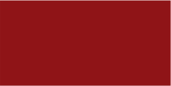 RAL 3002 49/31110