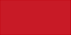 RAL 3018 49/31050